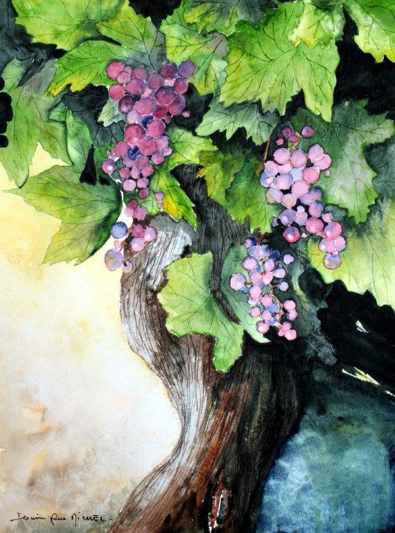 25-Le Cep de Vigne