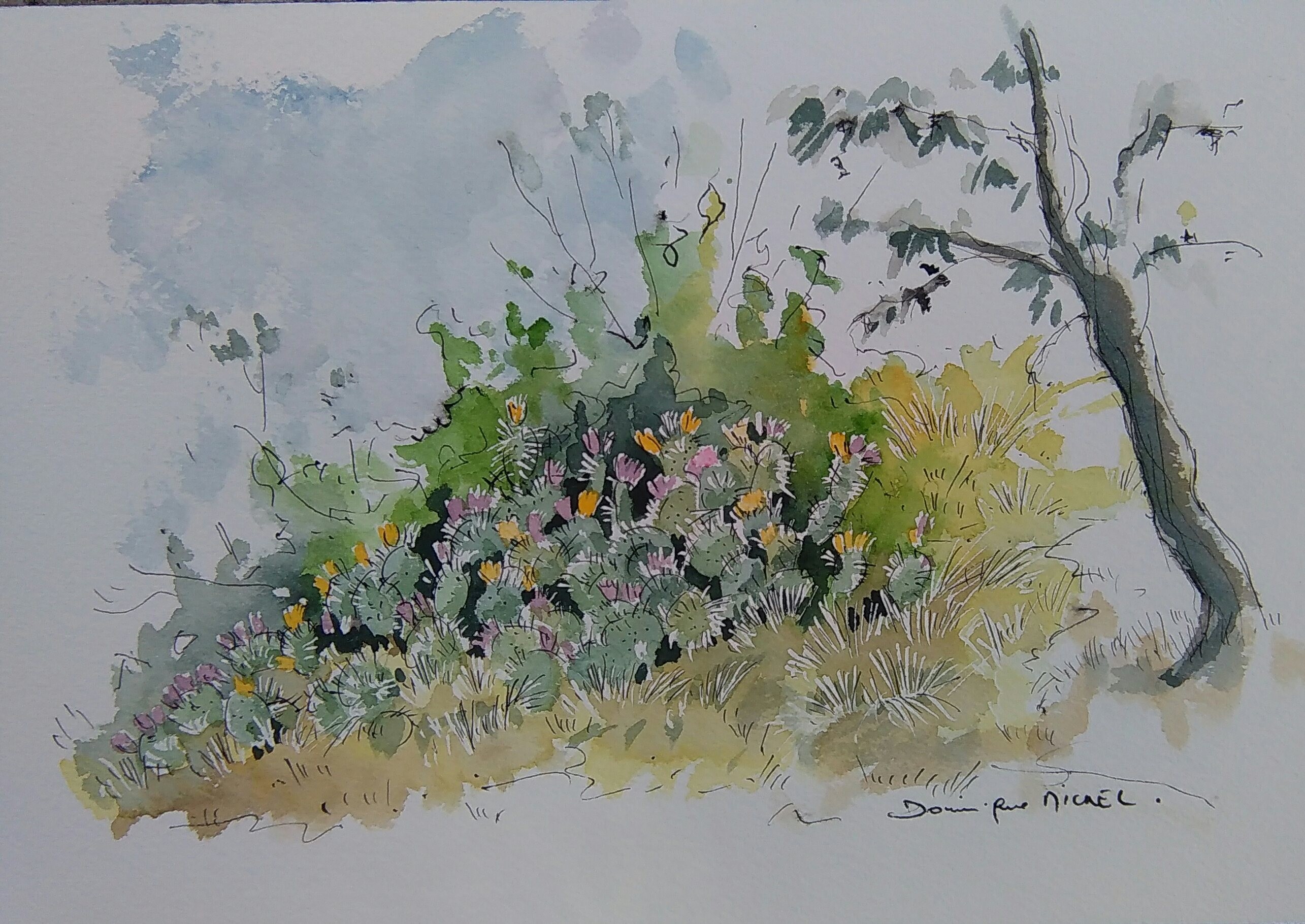 figues